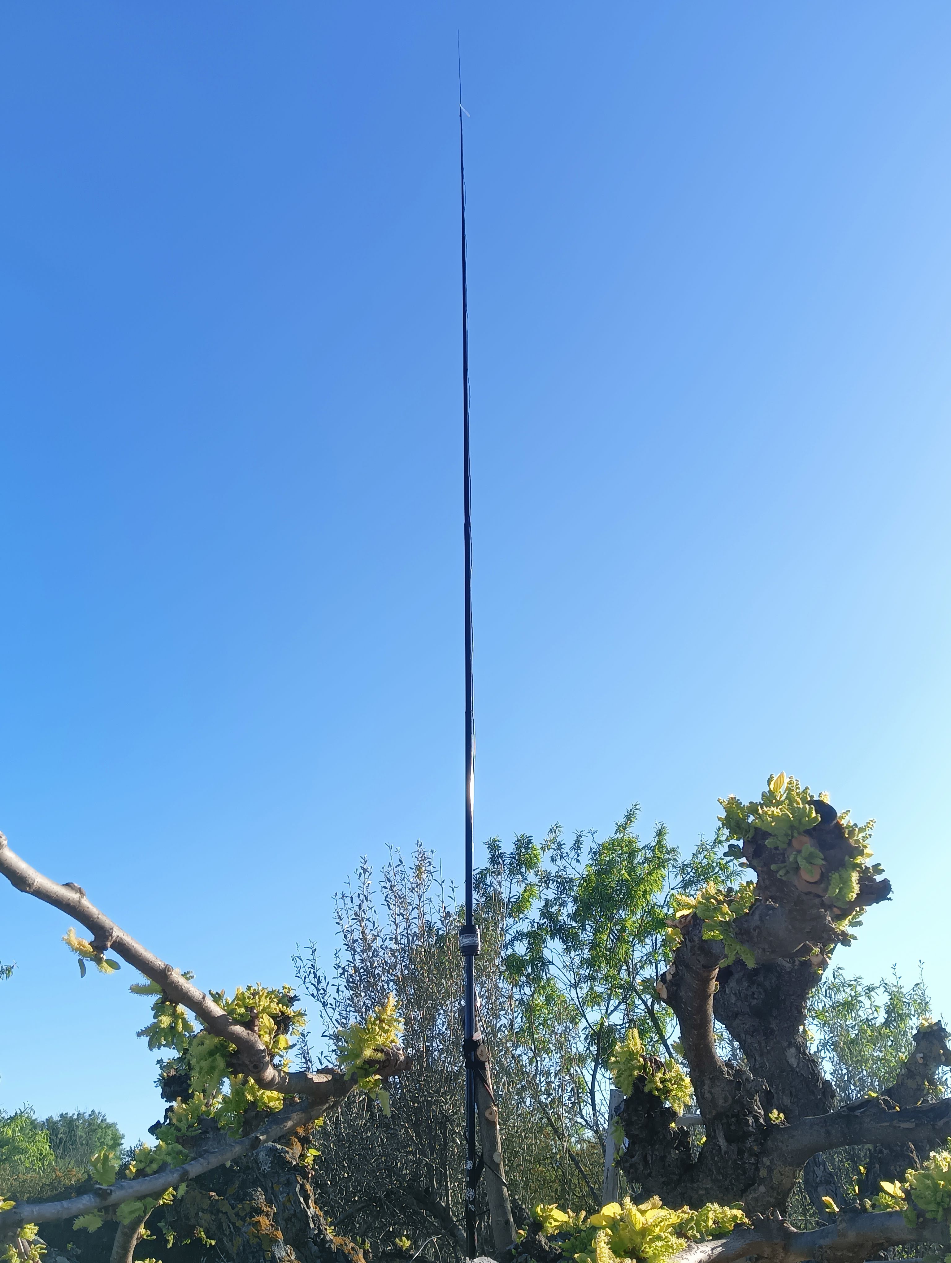 L'antenne Scoubidou sur sa canne à pêche